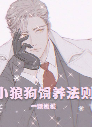 小狼狗饲养法则小说