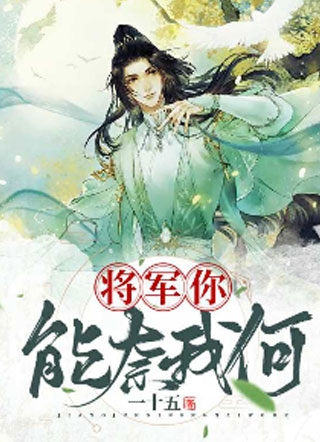 将军大人太难缠小说