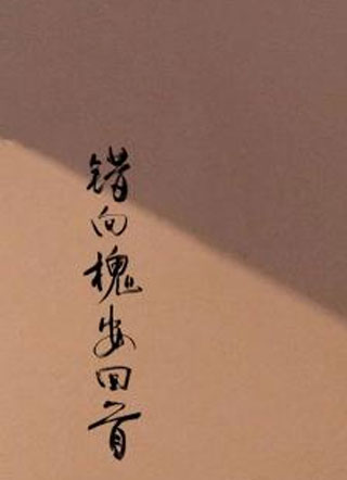 错向槐安回首旄丘小说