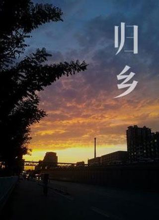 归乡小说