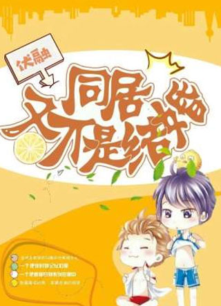 同居又不是结婚小说