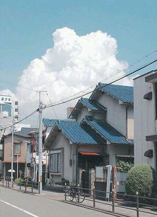 重生之小哭包倒追病娇大佬108式老干妈小说