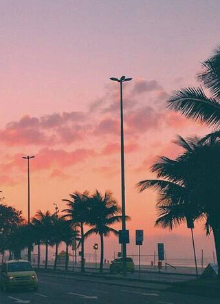 飞灰周晋珩小说