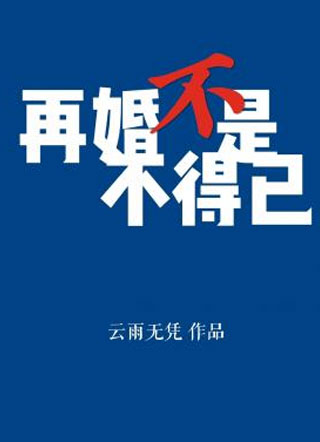 再婚不是不得已小说