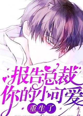 报告总裁！你的小可爱重生了小说