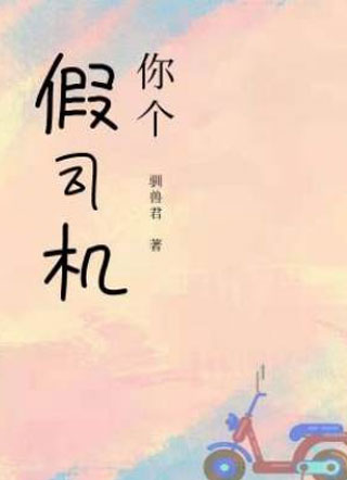 你个假司机小说