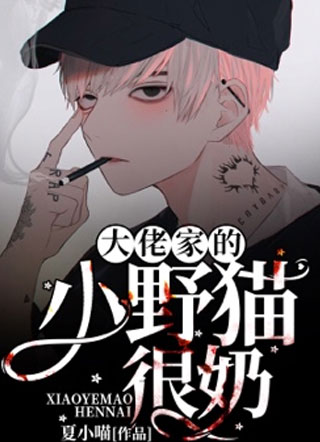 楚洛琛大佬家的小野猫很奶小说