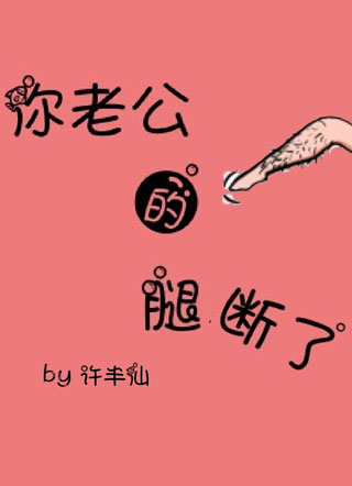 你老公的腿断了小说