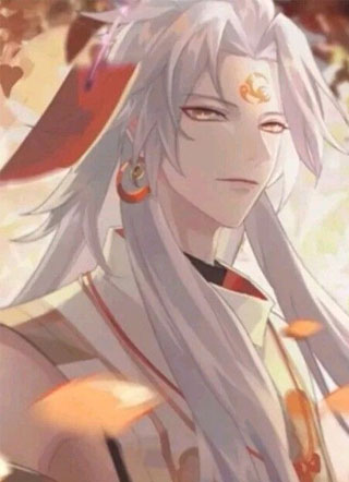 口袋里的小神官小说