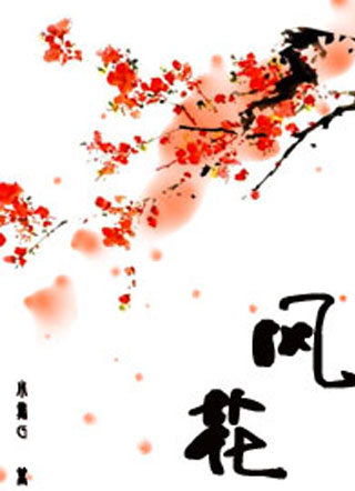 风花祁云岚小说