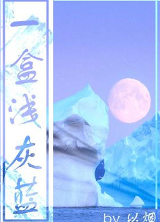 一盒浅灰蓝小说