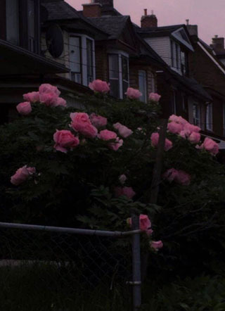 一张贴纸引发的血案胡杨小说