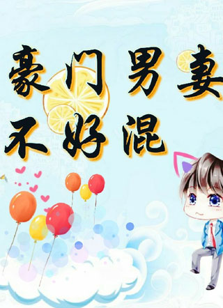 豪门男妻不好混小说