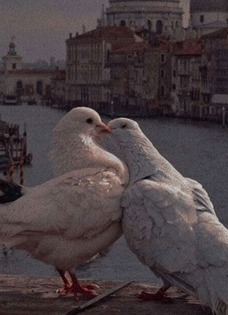 和人渣在一起后我上当了！小说