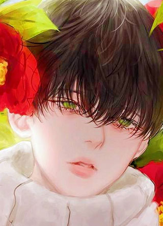 影帝家的小霸王又野又甜小说