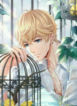 他是个万人迷楚意小说