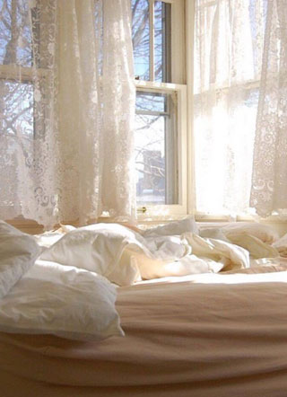 撞了豪车后我把自己赔进去了小说