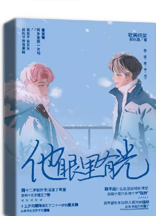 他眼里有光小说