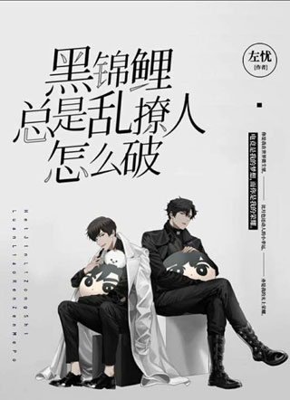 黑锦鲤总是乱撩人怎么破小说