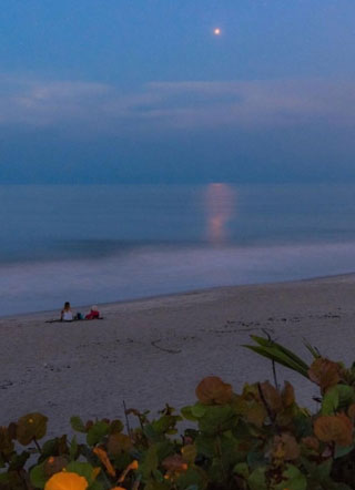 常乐封先生的撒娇精又奶又甜封祈雁小说