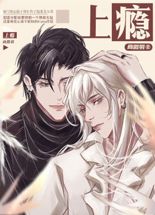 上瘾小说