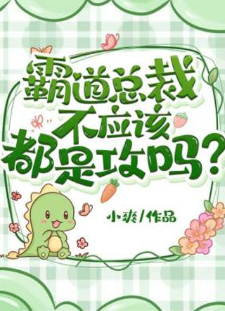 霸道总裁不应该都是攻吗小说