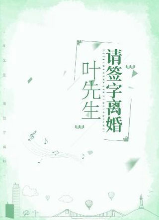 叶先生，请签字离婚!小说