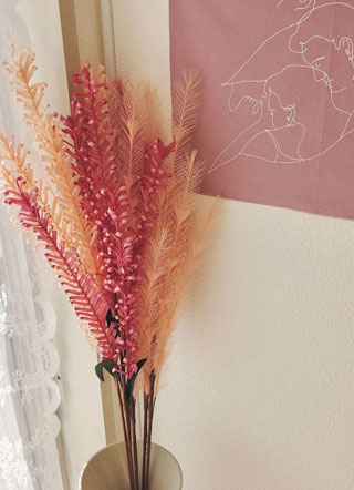 顶流为什么总撩我小说