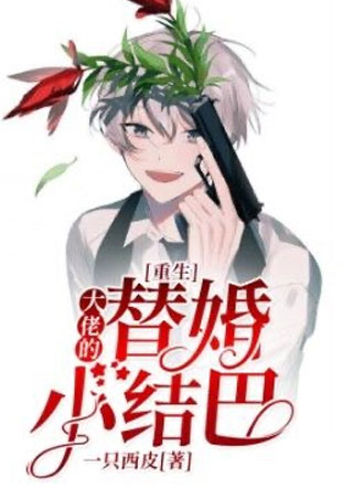 【重生】大佬的替婚小结巴小说