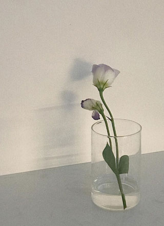 爷你家小奶狗是假的by小说