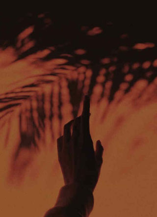 冷情总裁的假面小奶包宋筝小说