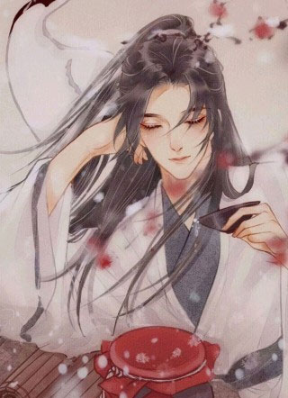 王爷的调皮男妃小说