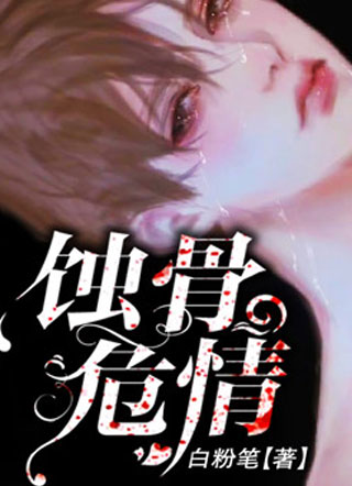 蚀骨危情小说