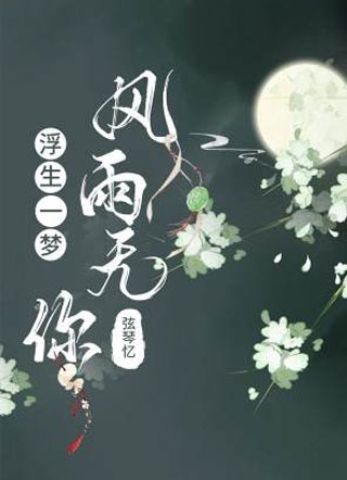 浮生一梦，风雨无你小说
