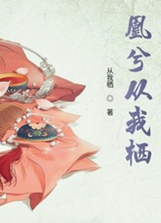 凰兮从我栖小说