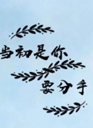 当初是你要分手小说