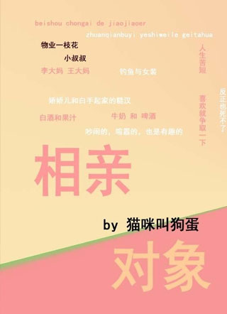 相亲对象小说