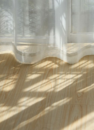 被金主欺负小说