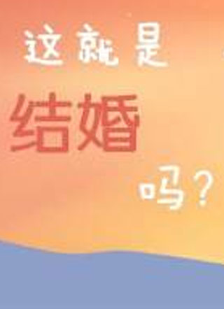 这就是结婚吗小说