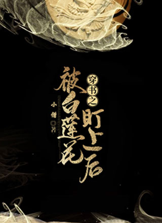被小黑莲盯上了小说