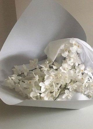 圈禁天帝小说