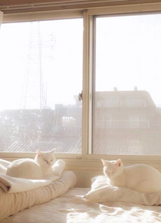 萧张的男人小说