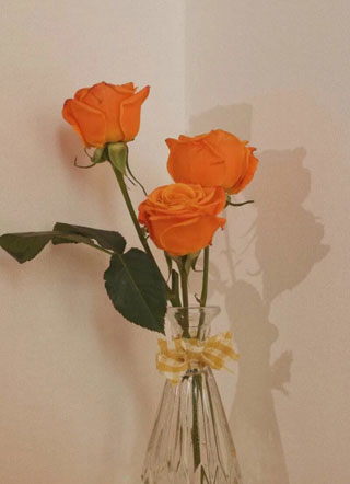 那位爷你是个O啊！小说