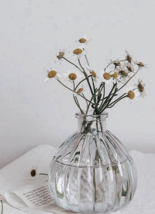 一刀未剪季翦小说