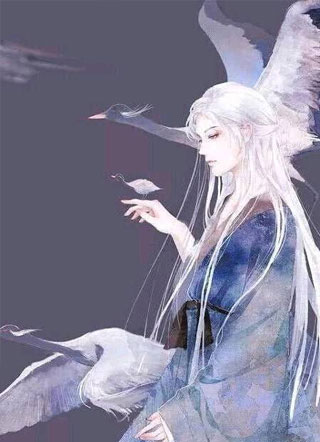 病美人的白月光师尊［穿书］小说