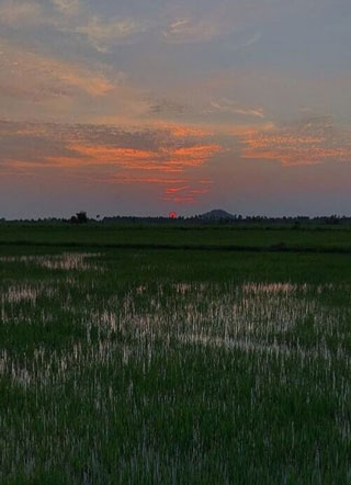 谁与山河小说