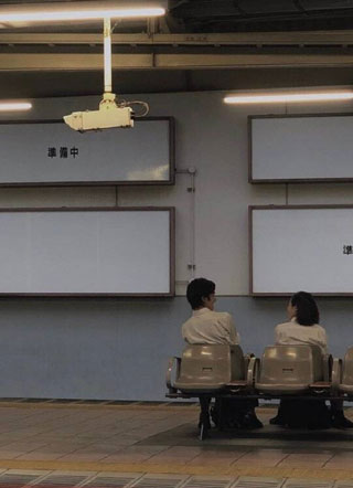 穿进某某文学茶红小豆小说