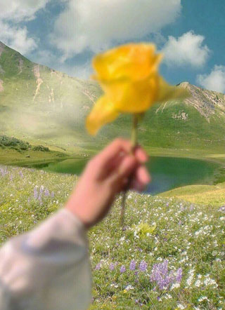泉涩小说