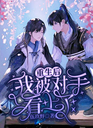 重生后，我被对手看上了小说