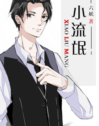 小流氓凌州小说